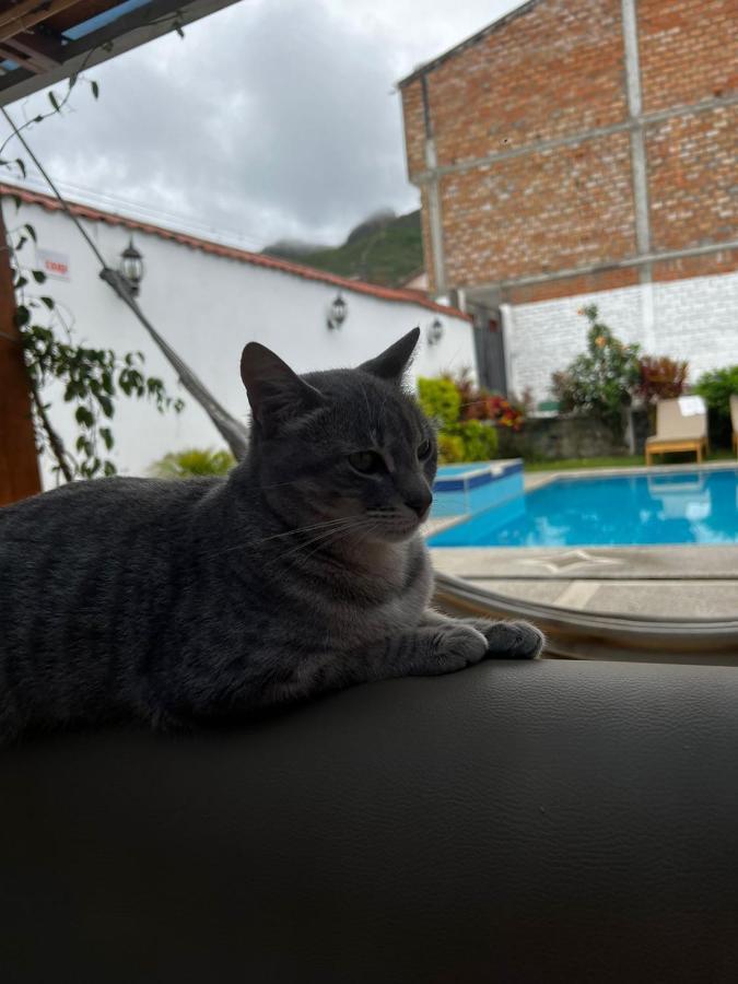 Hostel Las Palmas Вилькабамба Экстерьер фото