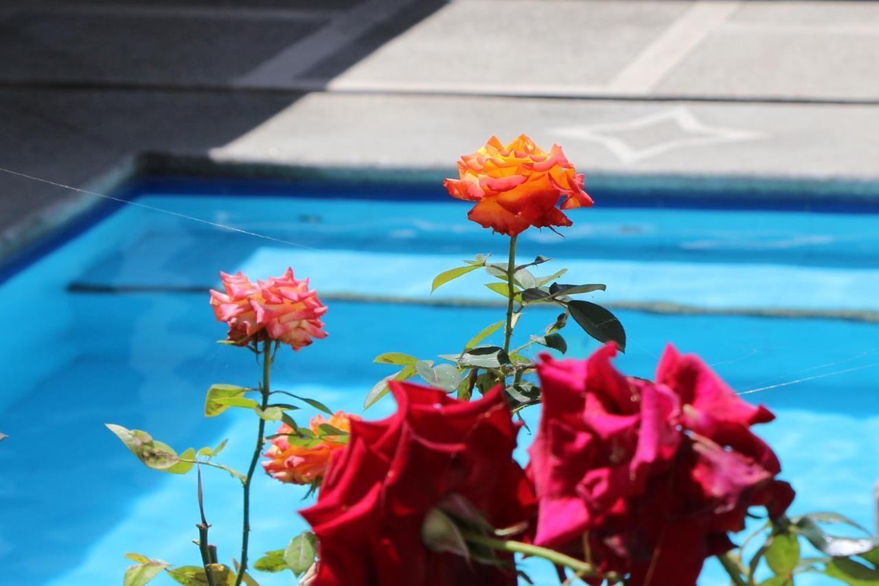 Hostel Las Palmas Вилькабамба Экстерьер фото