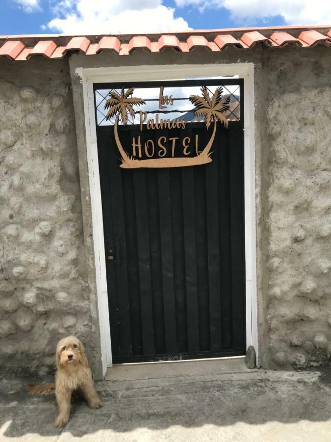 Hostel Las Palmas Вилькабамба Экстерьер фото